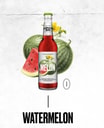 Eistee Elephant Bay Watermelon 0,33l